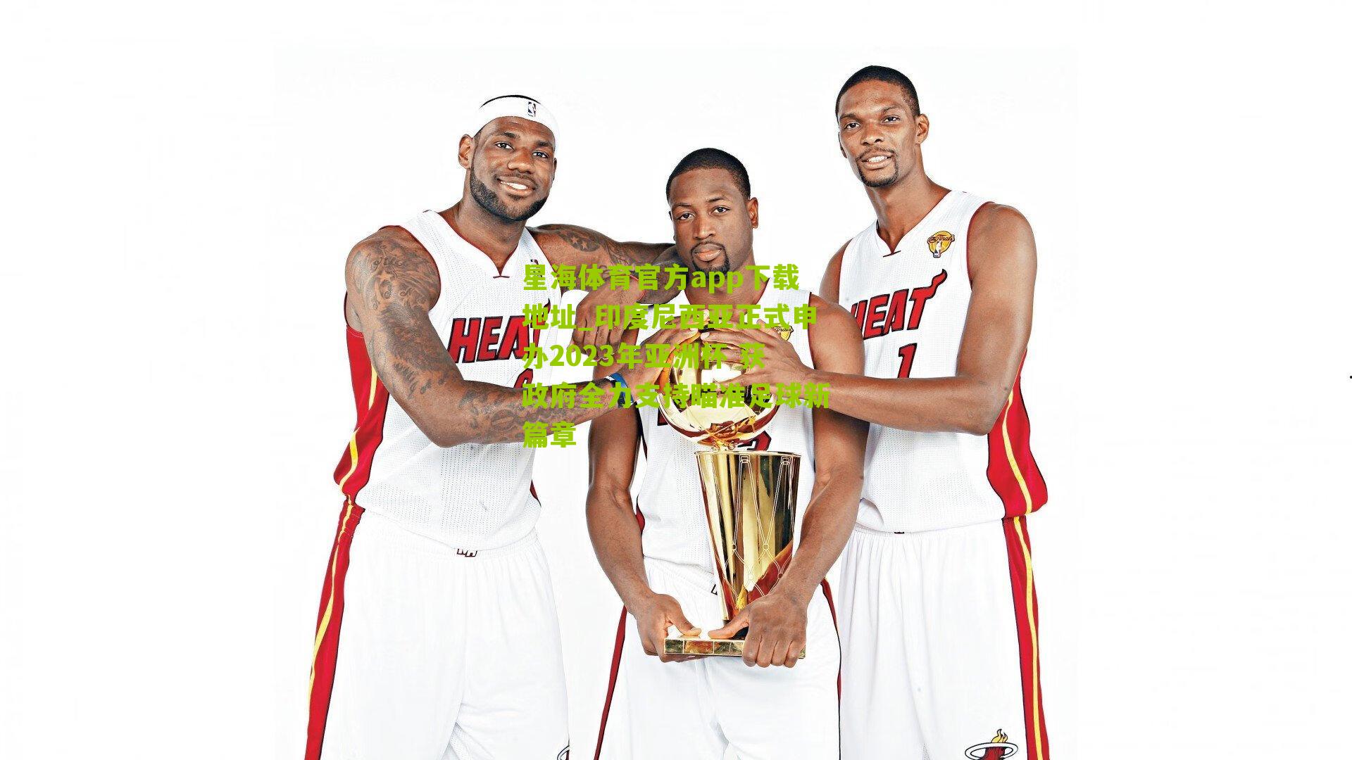 印度尼西亚正式申办2023年亚洲杯 获政府全力支持瞄准足球新篇章