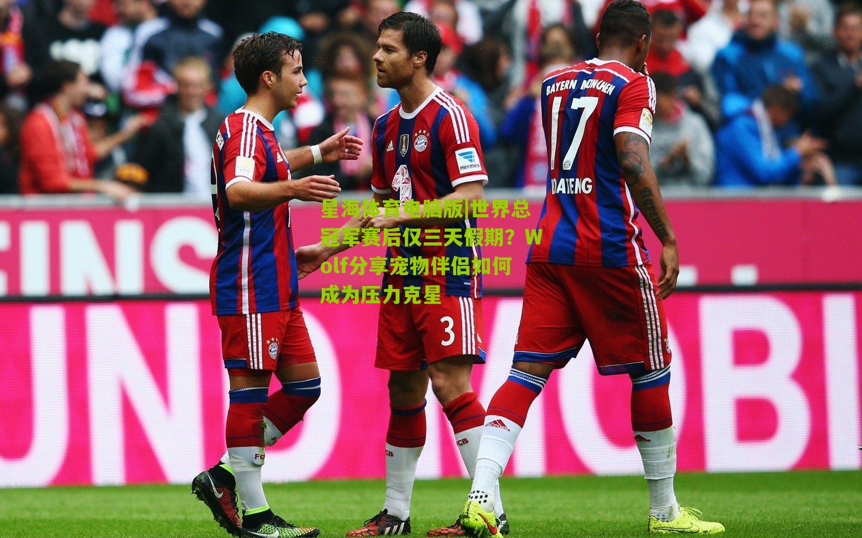 世界总冠军赛后仅三天假期？Wolf分享宠物伴侣如何成为压力克星